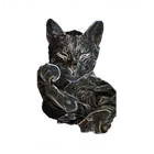 Avatar image of la_boite_a_boosters