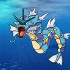 Avatar image of macsim2