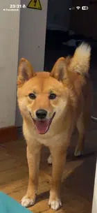 Avatar image of Bobshadoww