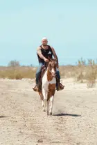 Avatar image of Paros1986