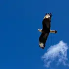 Avatar image of jls_wavv