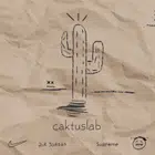Avatar image of caktuslab