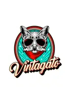 Avatar image of vintagato