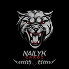 Avatar image of nailyk_crg