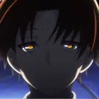 Avatar image of wokcen