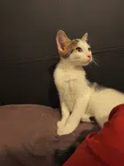 Avatar image of alexfrr34