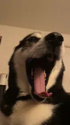 Avatar image of Warres