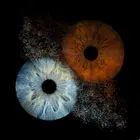 Avatar image of Pokeland28