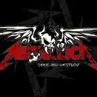 Avatar image of Srangg