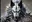 Avatar image of Wolf360514