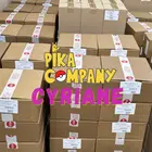 Avatar image of Pikacompany_Cyriane