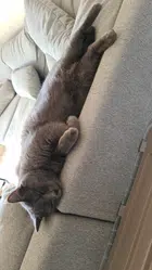 Avatar image of Mitsuvietnam