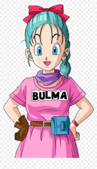 Avatar image of Bulma6