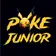 Avatar image of PokeJunior