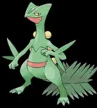 Avatar image of Paulo_31