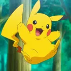 Avatar image of Mcsenss