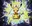 Avatar image of iguiTCG