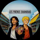 Avatar image of LesFreresShandias