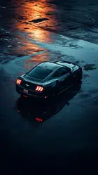 Avatar image of Wayezoxx