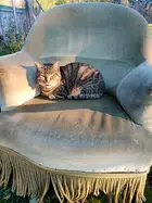 Avatar image of cranecranou