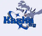 Avatar image of Kaska.Tcg