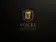 Avatar image of Vocel