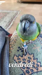 Avatar image of dylan.80600