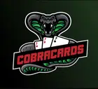 Avatar image of Cobracards1