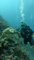 Avatar image of ledudueee