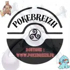 Avatar image of PokeBreizh