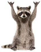 Avatar image of Pablo16q