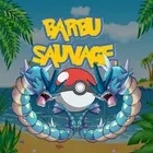 Avatar image of Barbu_Sauvage