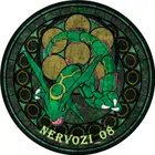 Avatar image of NerVoZi08