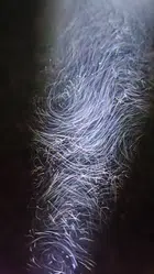 Avatar image of Hamsterminator