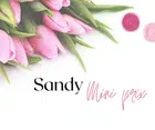 Avatar image of sandy17