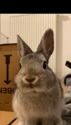 Avatar image of greg0ff_15