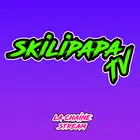 Avatar image of skilipapatv