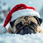 Avatar image of heeven