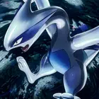 Avatar image of Kusuu.collector