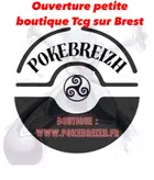 Avatar image of PokeBreizh