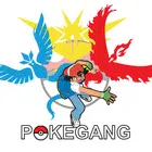 Avatar image of Pokegang.fr