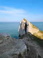 Avatar image of Nicojuppin