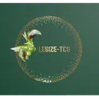 Avatar image of Lesize