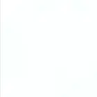 Avatar image of SpiderPoke