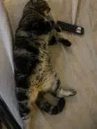 Avatar image of Vinssouille