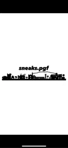 Avatar image of sneaks.fr