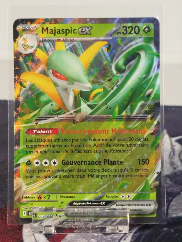 ImageUpload|15574504