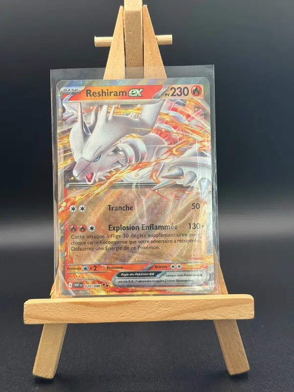 ImageUpload|11355837