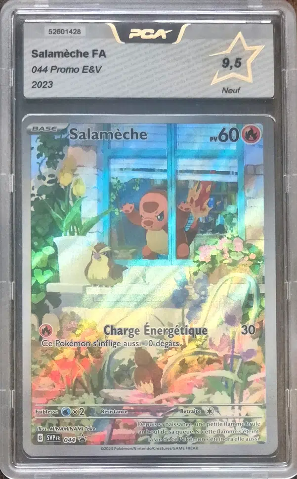 ImageUpload|10635358