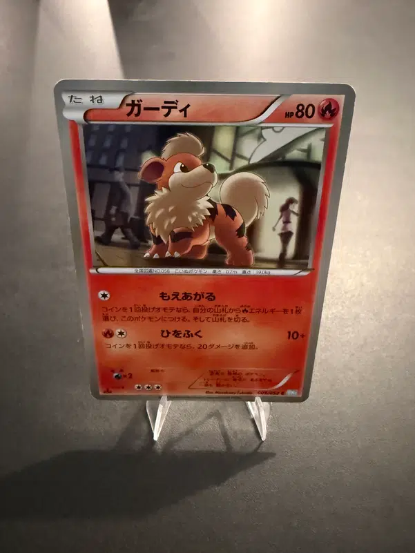 ImageUpload|14772695